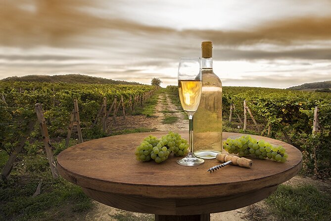 Provence Organic Wine Tasting Half Day Tour from Nice - Provence Organic Wine Tasting From Nice: What You’ll Actually Experience