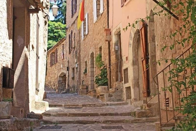 Provence Private Full Day Wine Tour with Wine Tasting - Practical Tips for a Smooth Day of Wine Tasting