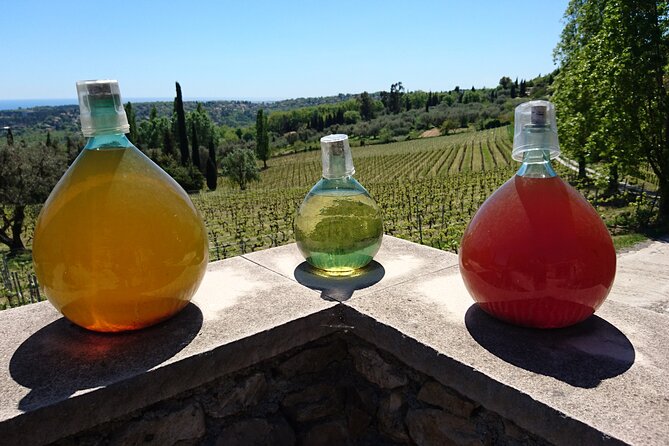 Provence Wine Tour - Private Day Tour from Antibes - Lunch and Bottle-Shopping Reality Checks