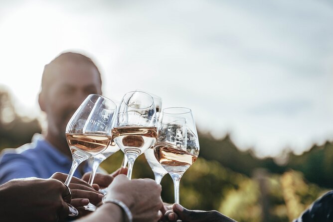 Provence Wine Tour - Private Day Tour from Antibes - Stop 1: Château de Saint-Martin and the Rosé-Focused Masterclass