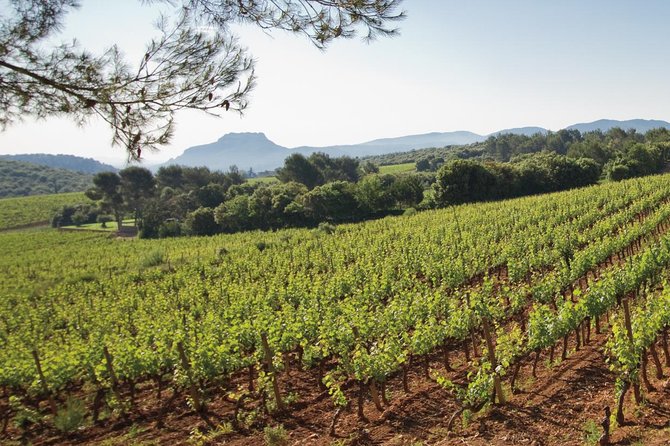 Provence Wine Tour - Private Day Tour from Cannes - Domaine des Féraud: Medal-Winning Wines in a Family-Run Setting