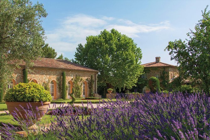 Provence Wine Tour - Private Day Tour from Cannes - Price and Value: Is $539.22 Worth It?