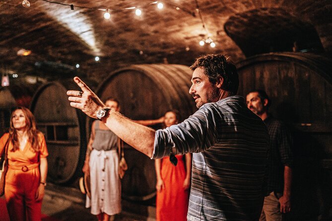 Provence Wine Tour - Small Group Tour from Nice - The real show: about 15 wines, across three styles