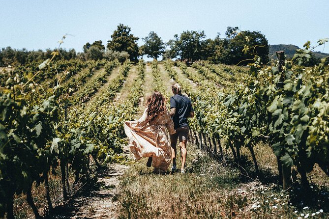 Provence Wine Tour - Small Group Tour from Nice - Buying wine without the high-pressure vibe