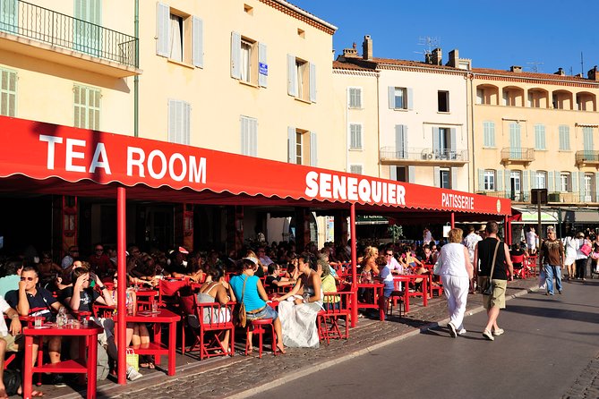 Saint-Tropez and Port Grimaud Day from Nice Small-Group Tour - Minivan Comfort, Small-Group Feel, and the Hearing Problem
