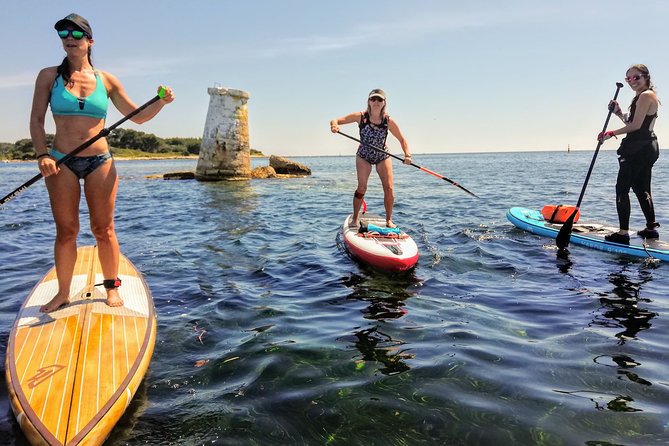 Stand-Up Paddle & Snorkeling with Local Guide near Nice - Key Reasons This Tour Works Well