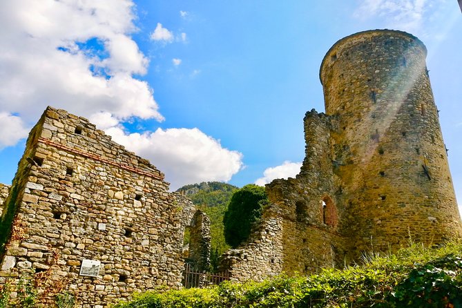Train Exp. through the Alps (Royal Baroque Route from Nice) - Price and value: $204.37 for a full guided Alps day that includes food and admission