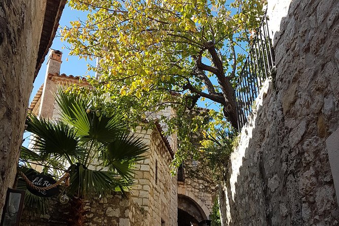 Villefranche Shore Excursion: 6 hrs Private Tour Eze and Monaco - Vieux Eze Walking Time and the Exotic Garden Choice