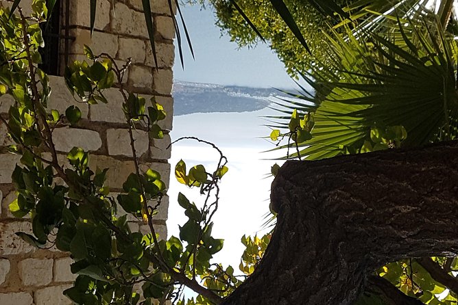 Villefranche Shore Excursion: 6 hrs Private Tour Eze and Monaco - La Turbie and the Trophy Moment (Only If It’s Offered on Your Route)
