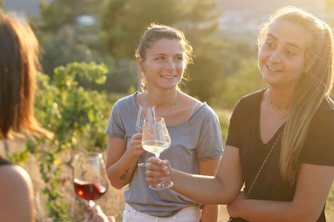 Vineyard Tour with Wine Tasting within Nice city borders - Timing: how long it takes and what to plan around